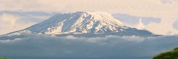 KKrautblatt's profile banner image