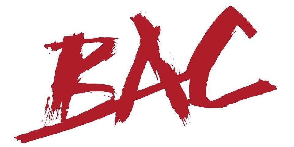 FundacionBAC1's profile banner image
