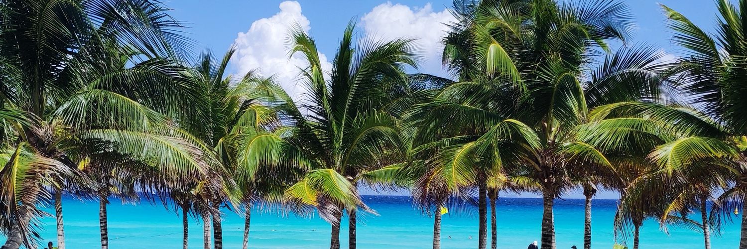 Silvana Gallo Cabana banner