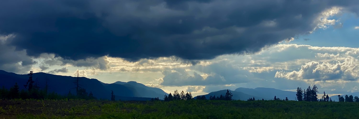 tmeanney's profile banner image