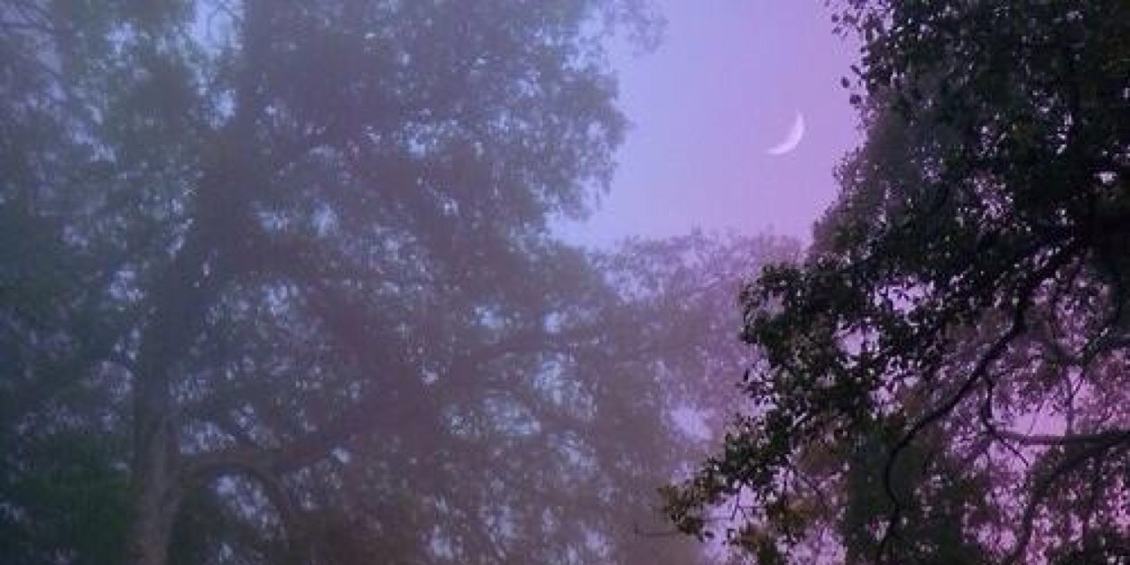 opalescentminds's profile banner image