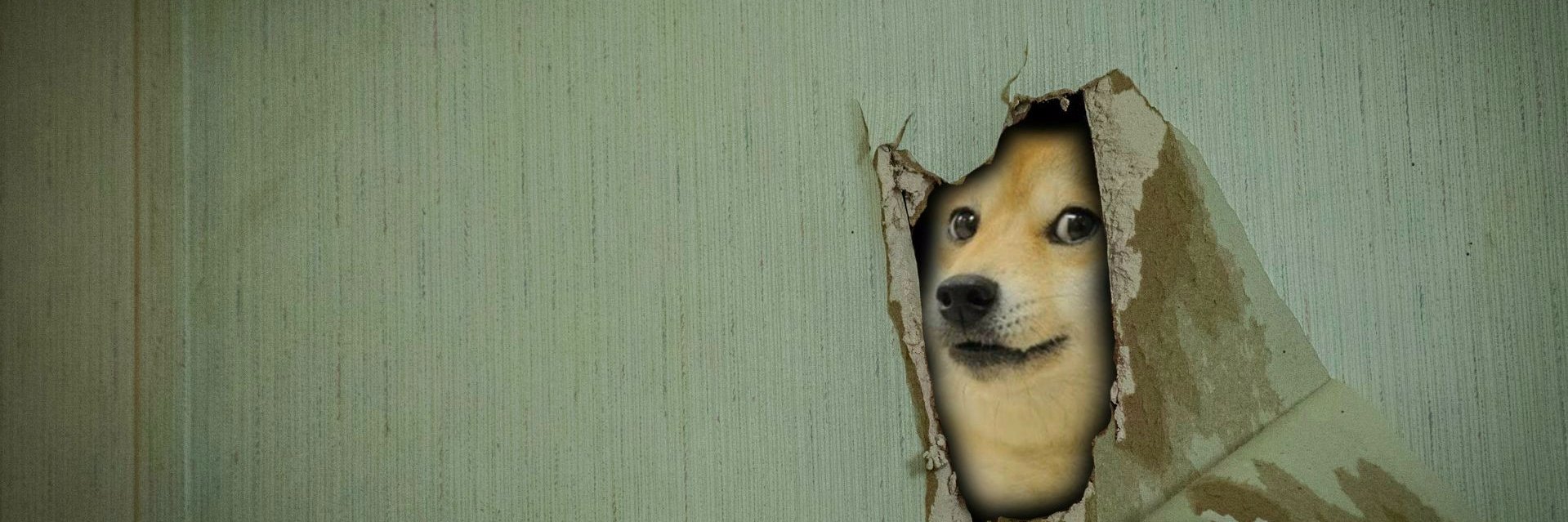 Corusmaximus's profile banner image
