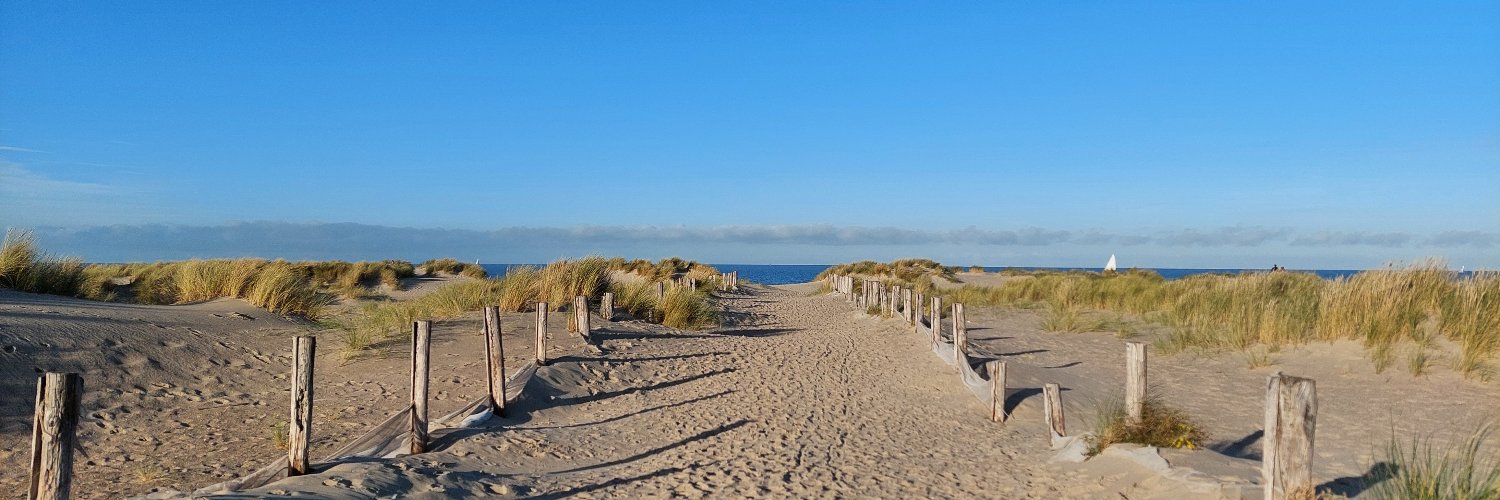 Robin Medard Inghilterra banner