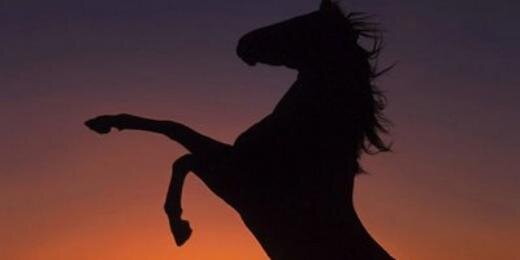 JoseeLopezG's profile banner image