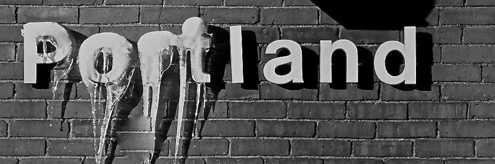 Mayor Protem - Pious Ali banner