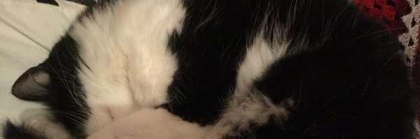 JonHollis9 Profile Banner