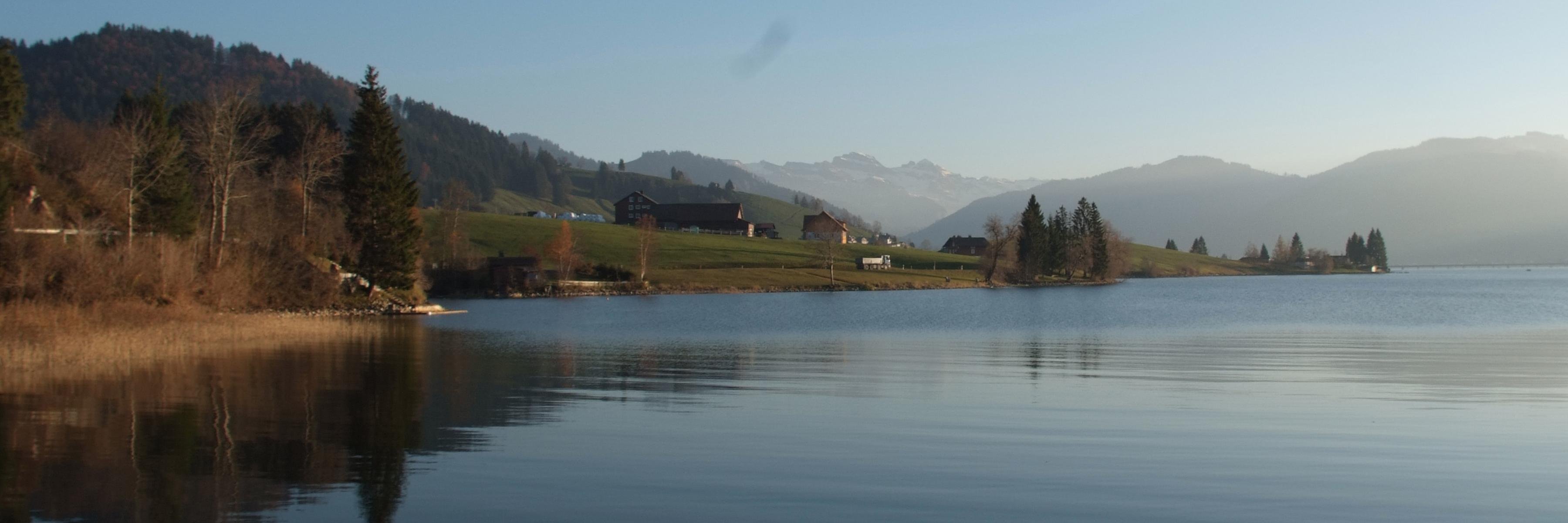 Thomas Wehrli banner