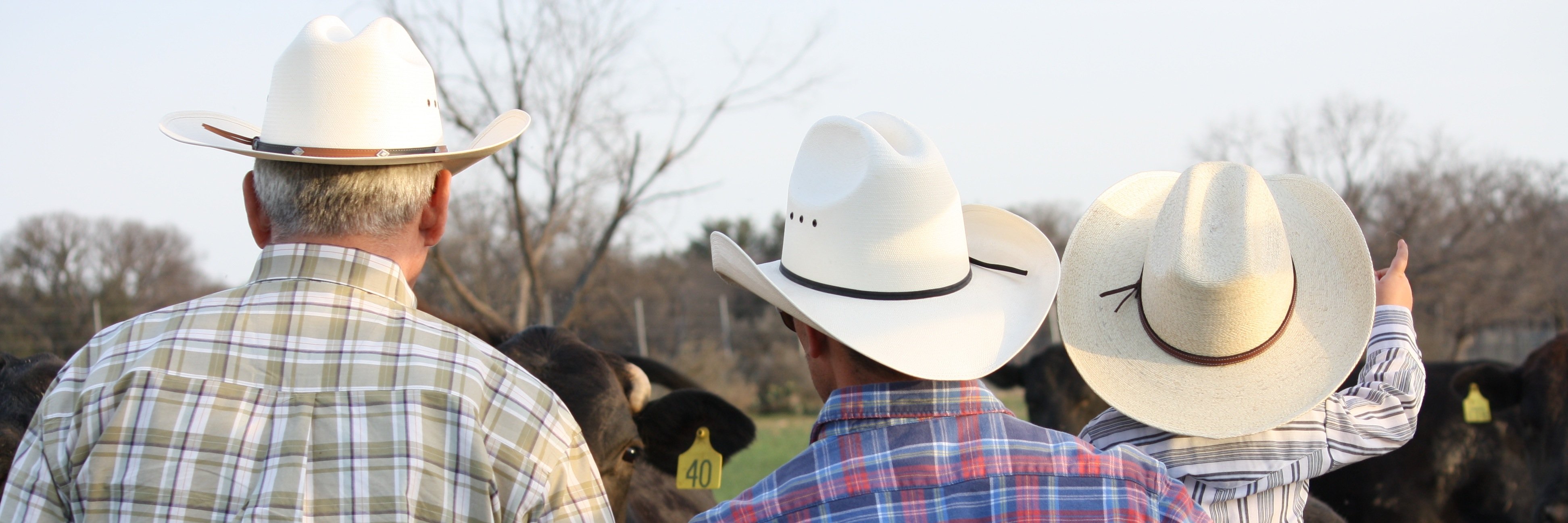 2SRanch_'s profile banner image