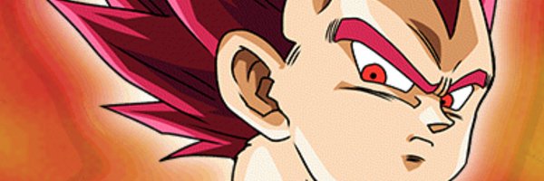 EVILFOX23's profile banner image