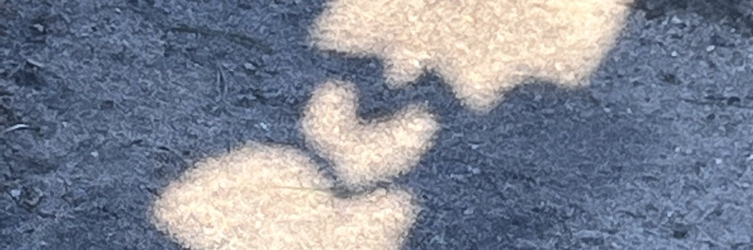 lovelyyy_e's profile banner image