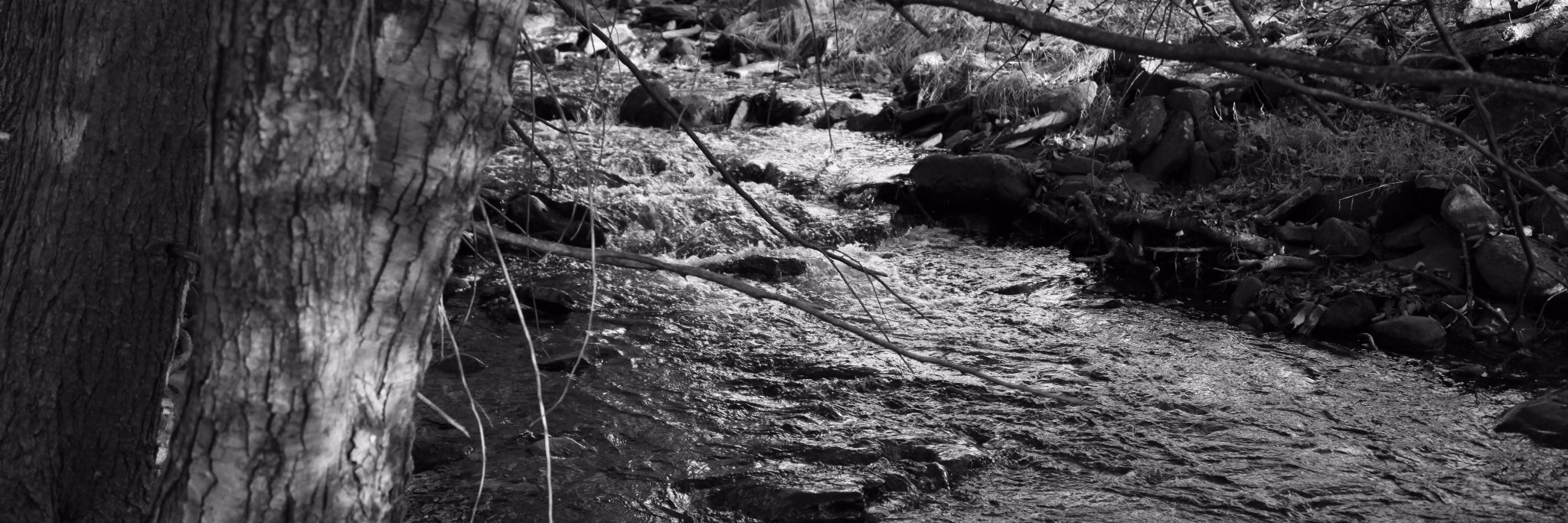 Stinchcomb's profile banner image