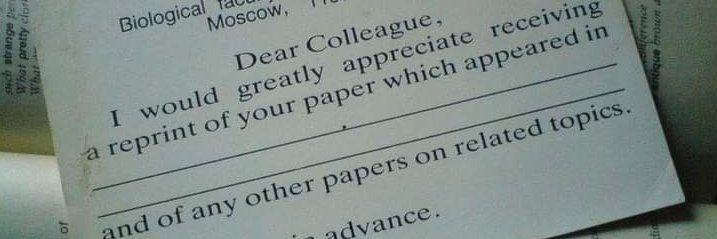 Ostrich 🇵🇸 banner