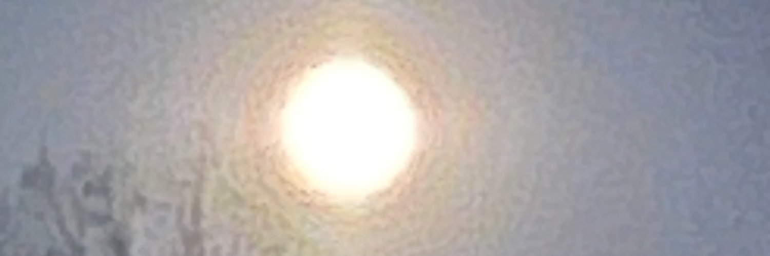 Patti Coltman banner