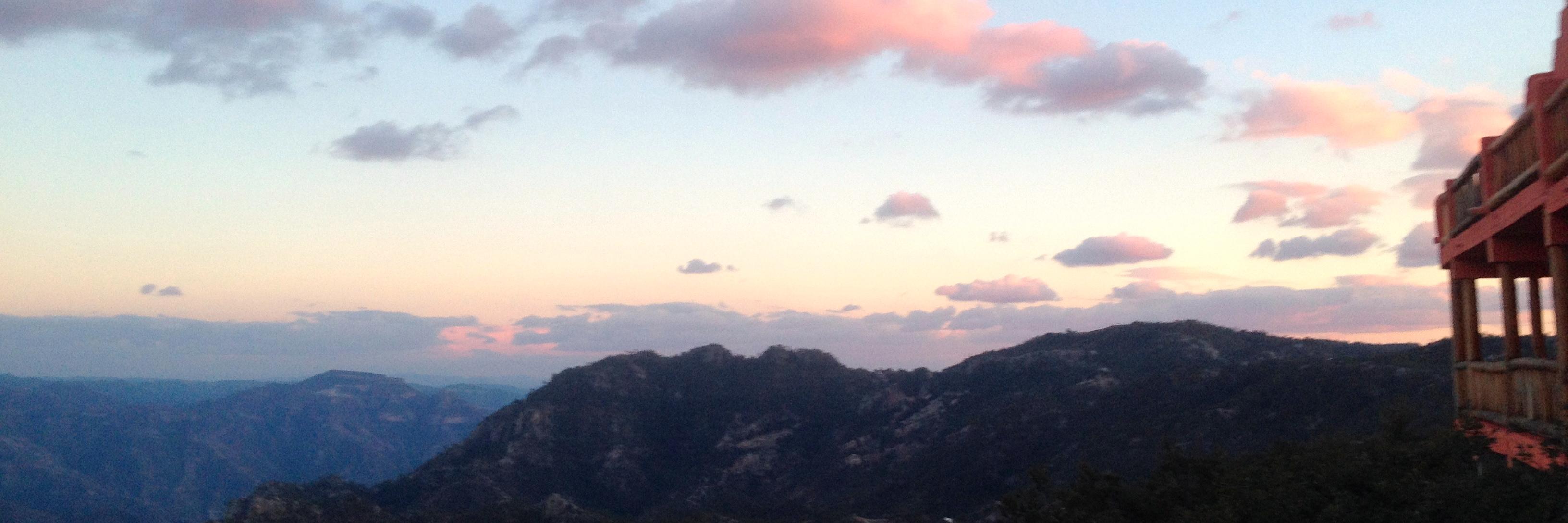 AlyssaHuberts's profile banner image