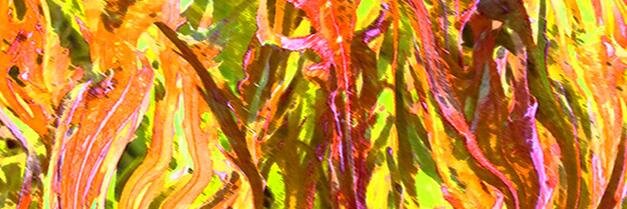 art_challenged's profile banner image