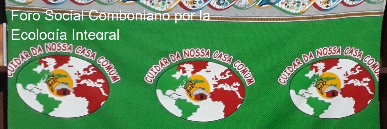 Laicos Misioneros Combonianos banner