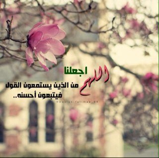 jana0033's profile banner image