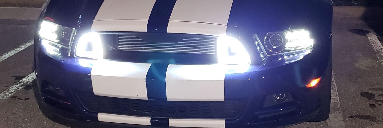 Thatstangdude65 banner