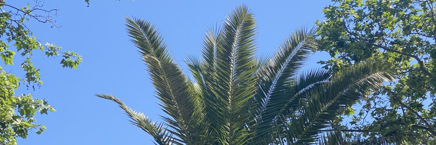 iceNjobe's profile banner image