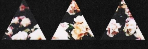 xtasiaf's profile banner image