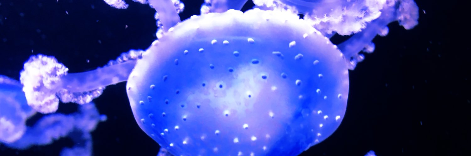 Patrick Cooley banner