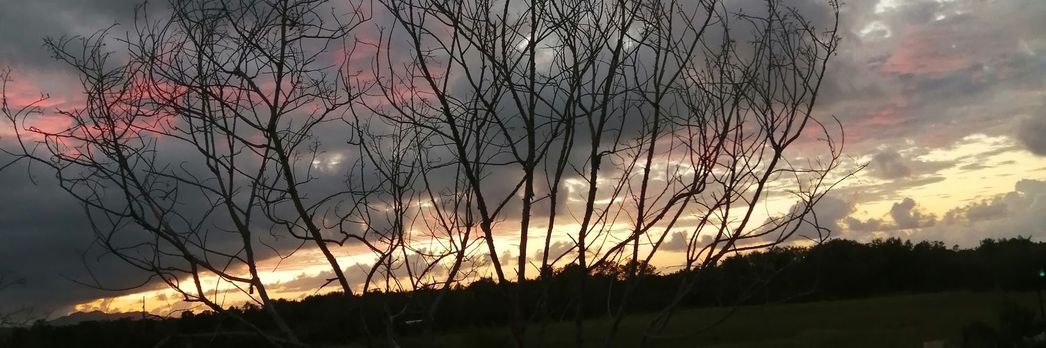 tazach17's profile banner image