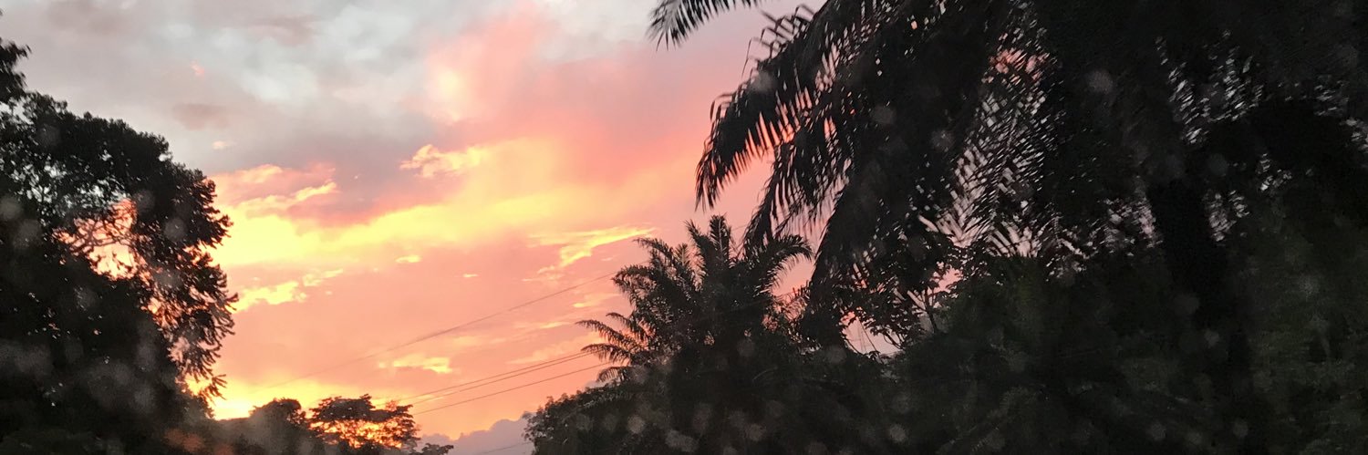 GusReid's profile banner image