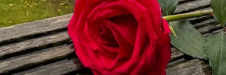 princewillams27's profile banner image