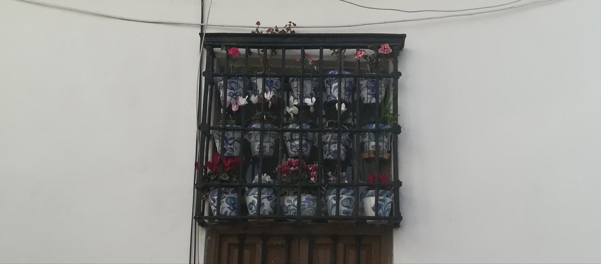 mCarrerob's profile banner image