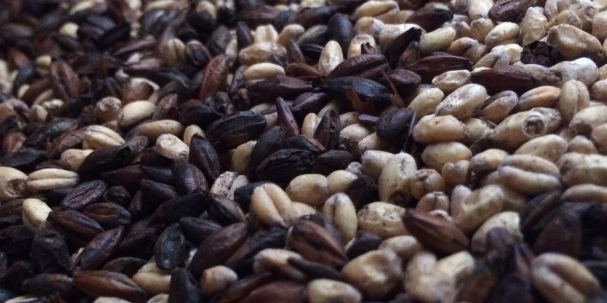 Harding House Brew banner