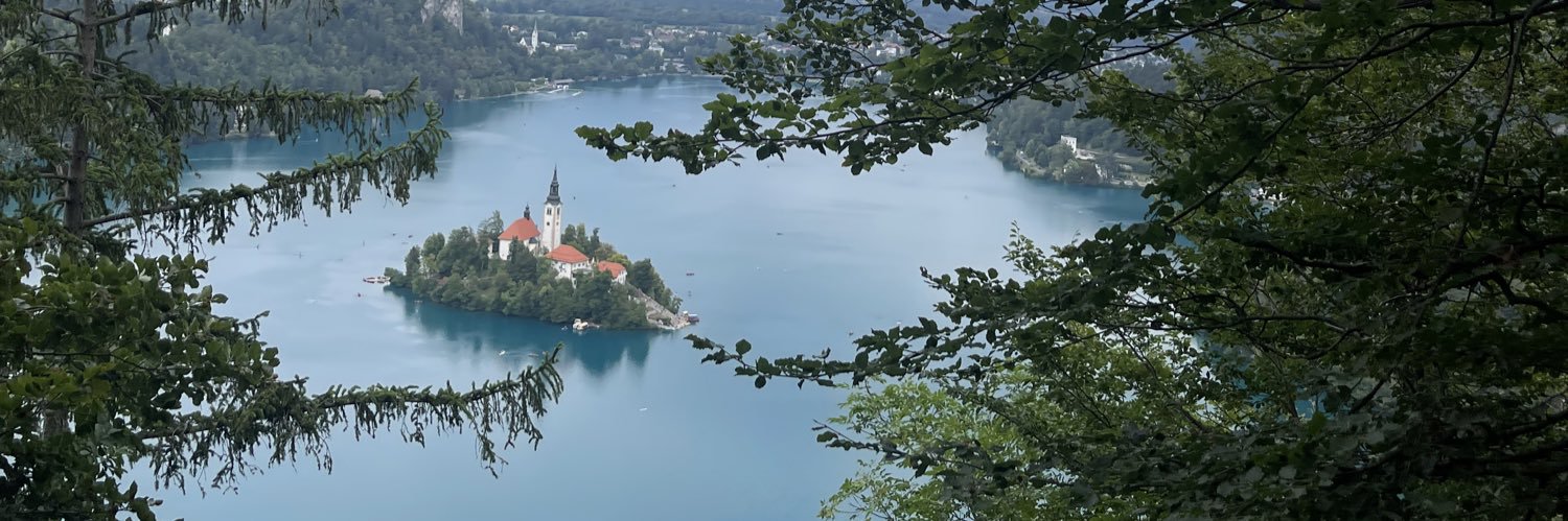 Ash Johnston. banner