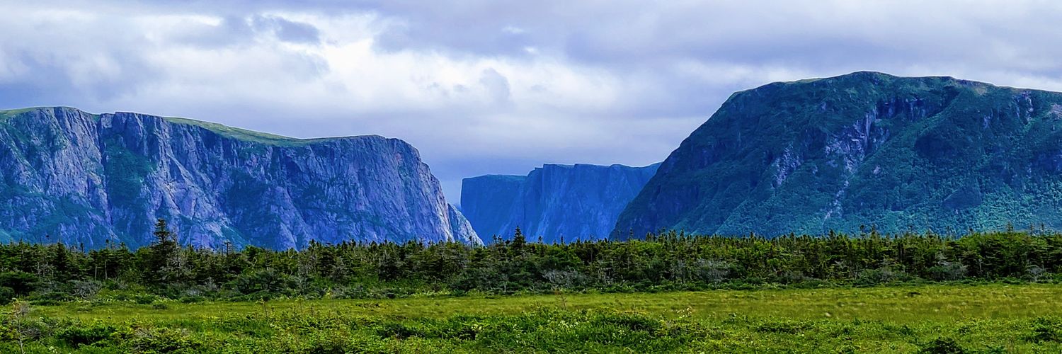 ℂ𝕙𝕒𝕣𝕞𝕒𝕪𝕟𝕖 ℝ𝕦𝕞𝕓𝕠𝕝𝕥 banner