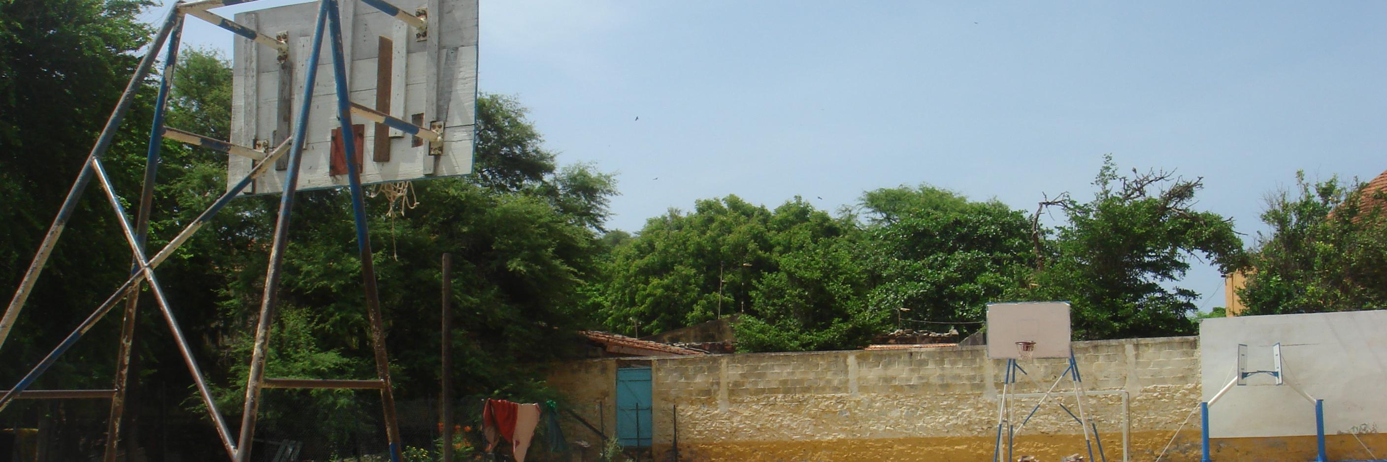 Milena Flores banner