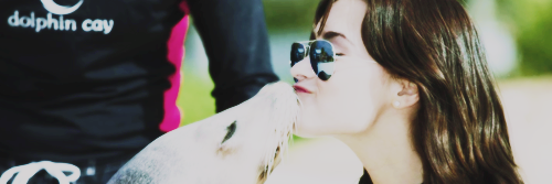 ddlesbianforme's profile banner image