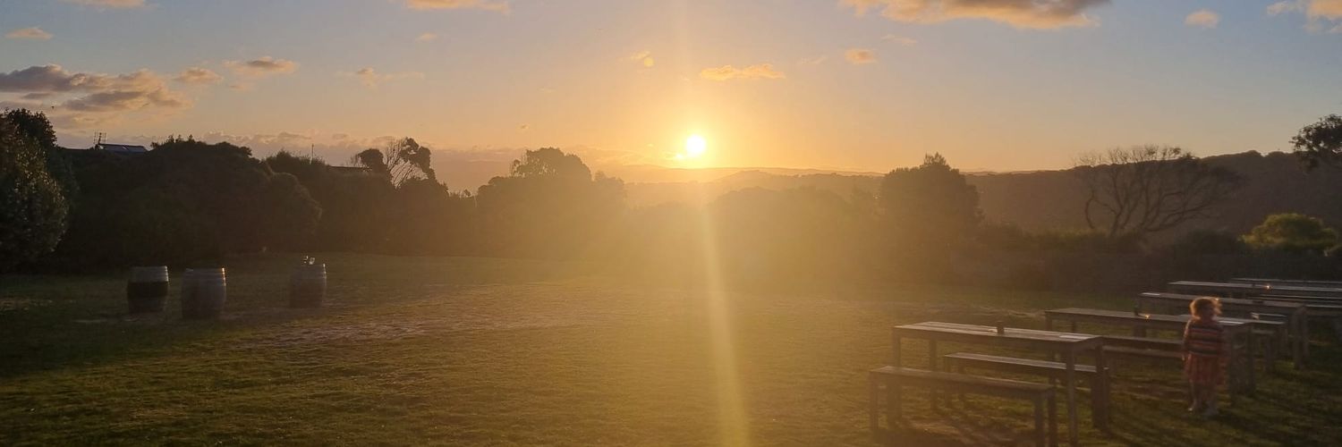 Sarah Danckert banner