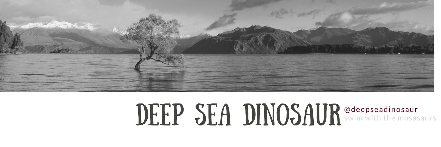 deepseadinosaur's profile banner image
