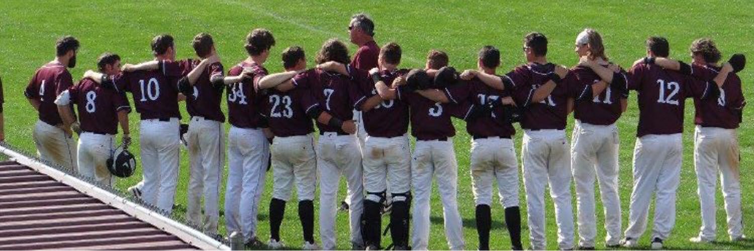 Lebanon Baseball banner