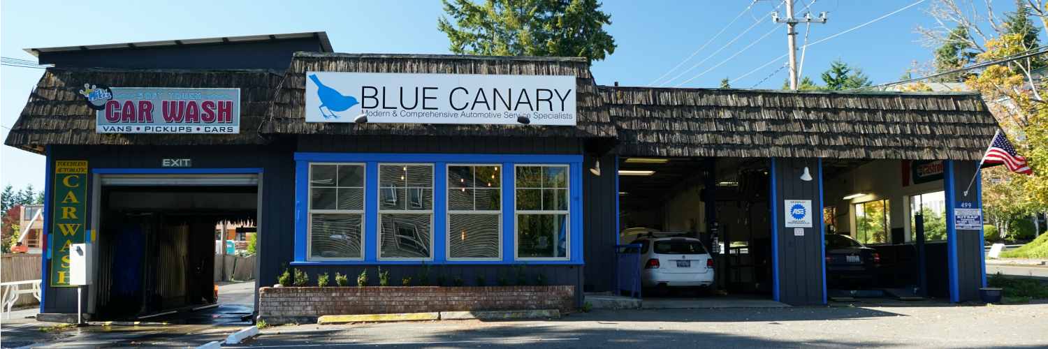 AskBlueCanary's profile banner image