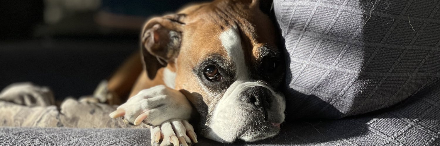 RileyBrown43's profile banner image