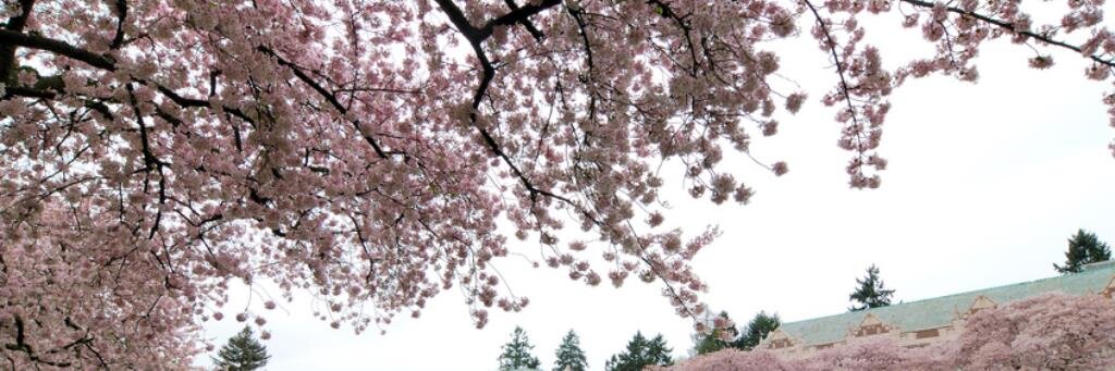 S_Abookworm's profile banner image