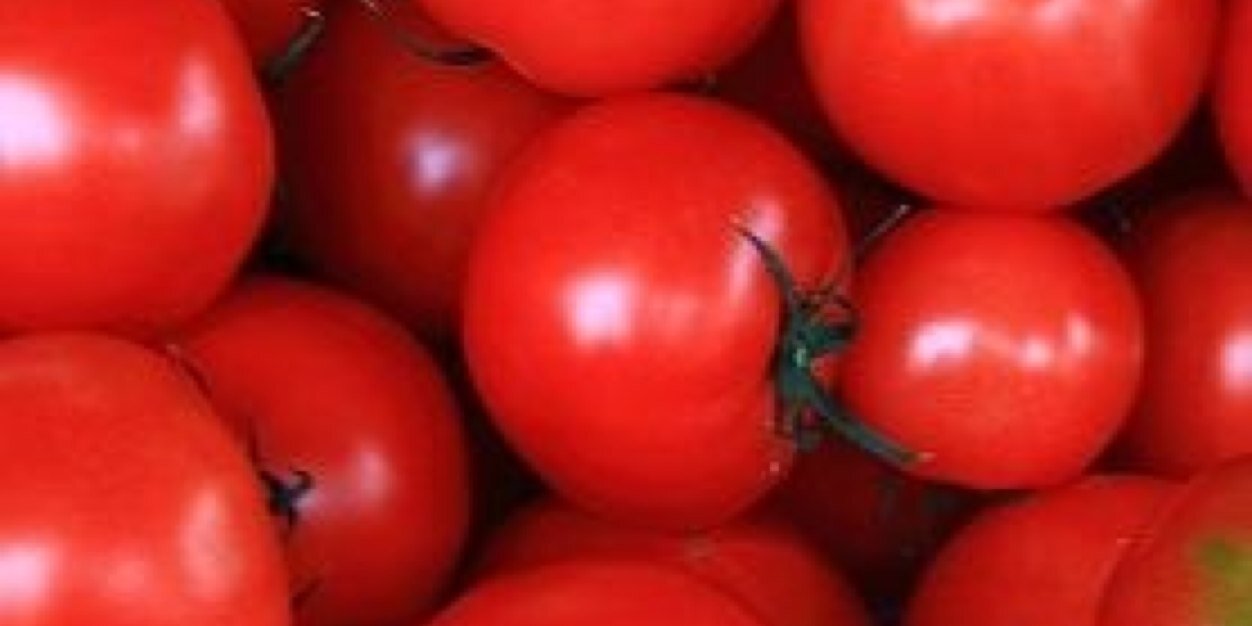 rkrk_pn's profile banner image