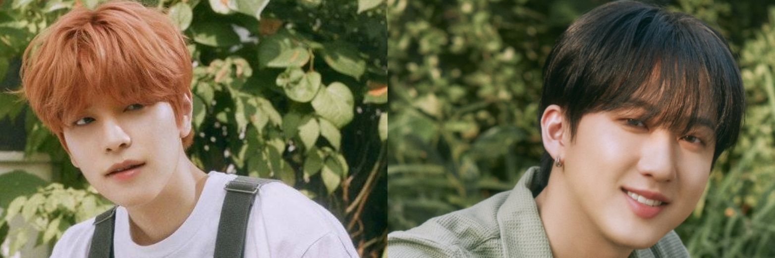youngsaengs's profile banner image