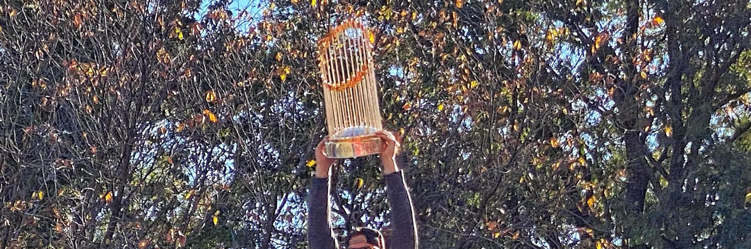 The Nats Blog banner