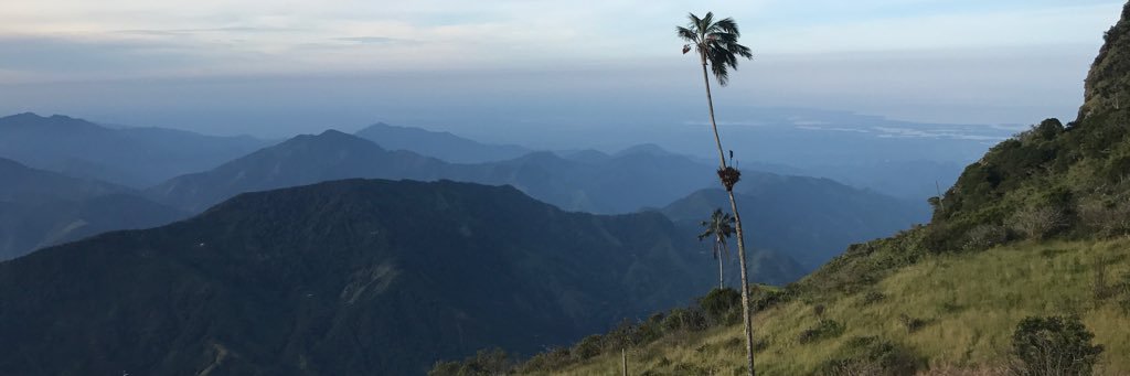 _Laura_Tobon's profile banner image