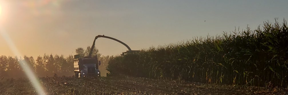 Steph Chabbert banner