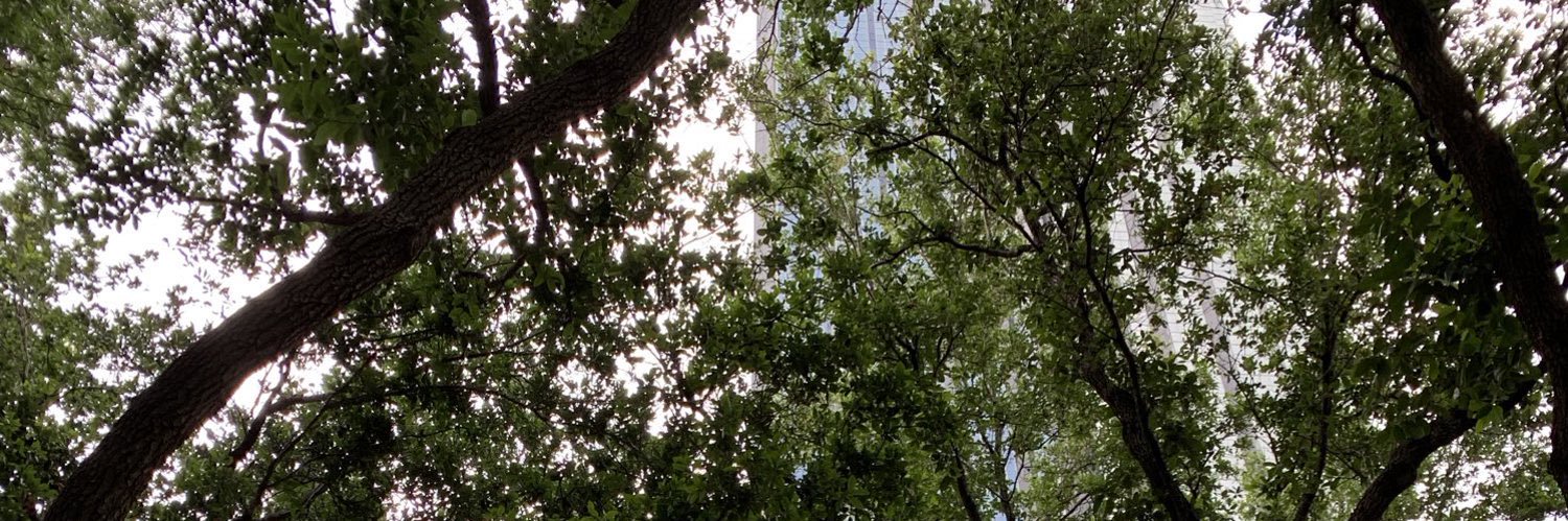 _harmonic_sound's profile banner image