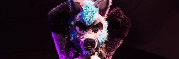 DirtyHyena's profile banner image