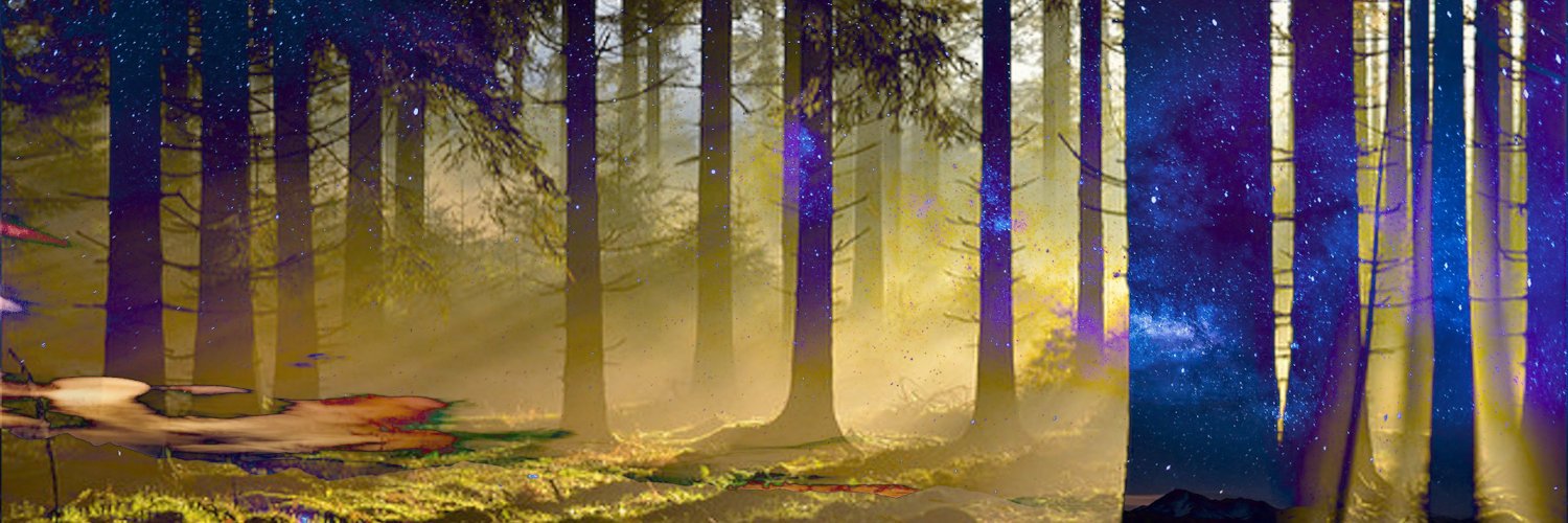 SamoCokolada's profile banner image