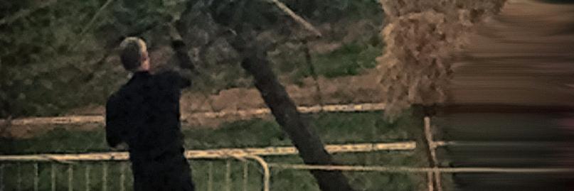 ftalbert13's profile banner image