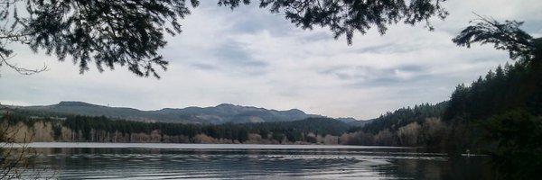 bigpiclongterm Profile Banner